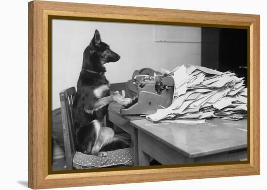 German Shepherd at a Typewriter-null-Framed Premier Image Canvas