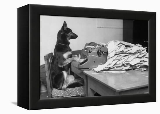 German Shepherd at a Typewriter-null-Framed Premier Image Canvas