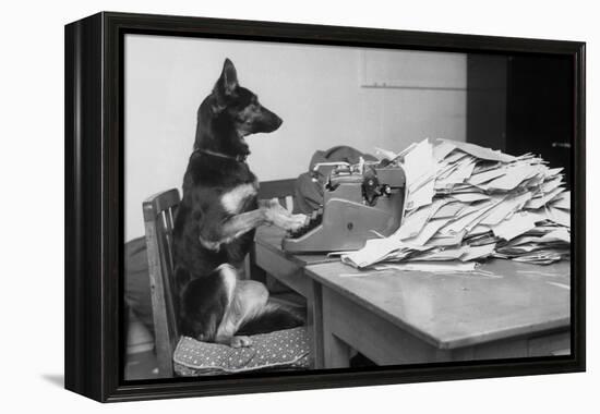 German Shepherd at a Typewriter-null-Framed Premier Image Canvas