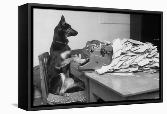 German Shepherd at a Typewriter-null-Framed Premier Image Canvas