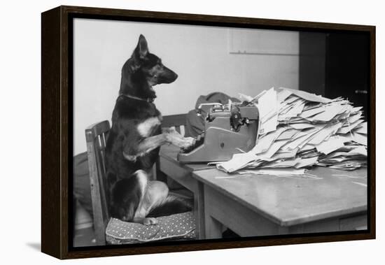 German Shepherd at a Typewriter-null-Framed Premier Image Canvas