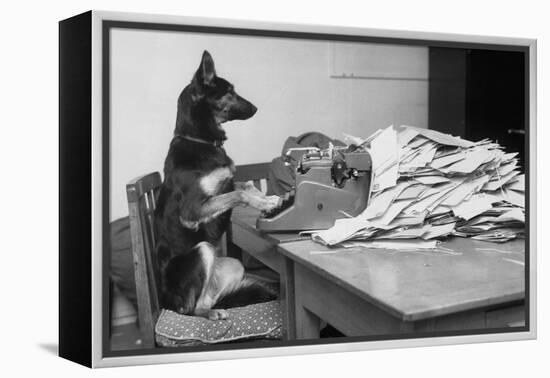 German Shepherd at a Typewriter-null-Framed Premier Image Canvas