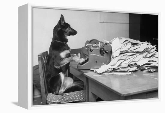 German Shepherd at a Typewriter-null-Framed Premier Image Canvas