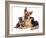 German Shepherd Dog Alsatian Bitch Lying with Her Two Puppies-Jane Burton-Framed Photographic Print