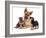 German Shepherd Dog Alsatian Bitch Lying with Her Two Puppies-Jane Burton-Framed Photographic Print