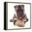 German Shepherd Dog Alsatian Puppy Lying with Paws Crossed-Jane Burton-Framed Premier Image Canvas