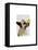 German Shepherd Dog and Duck-Fab Funky-Framed Stretched Canvas