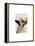German Shepherd Dog and Duck-Fab Funky-Framed Stretched Canvas