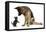 German Shepherd Dog Bitch, Coco, Looking Down on Black Kitten-Mark Taylor-Framed Premier Image Canvas