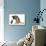 German Shepherd Dog Bitch, Coco, Looking Down on Black Kitten-Mark Taylor-Photographic Print displayed on a wall