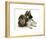 German Shepherd Dog Bitch Puppy, Echo, with Lionhead Rabbit-Mark Taylor-Framed Photographic Print