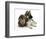 German Shepherd Dog Bitch Puppy, Echo, with Lionhead Rabbit-Mark Taylor-Framed Photographic Print