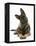 German Shepherd Dog Looking Inquisitively with Tilted Head-Mark Taylor-Framed Premier Image Canvas