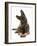 German Shepherd Dog Looking Inquisitively with Tilted Head-Mark Taylor-Framed Photographic Print