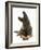 German Shepherd Dog Looking Inquisitively with Tilted Head-Mark Taylor-Framed Photographic Print