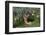 German Shepherd Dog-Lynn M^ Stone-Framed Photographic Print