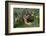 German Shepherd Dog-Lynn M^ Stone-Framed Photographic Print