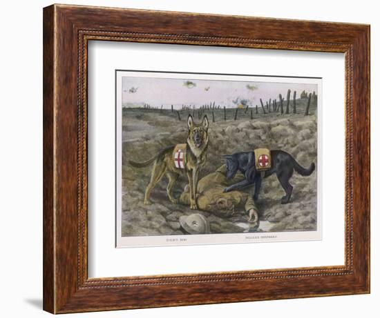 German Shepherd Dogs Used by the Red Cross to Locate Wounded Soldiers-null-Framed Art Print