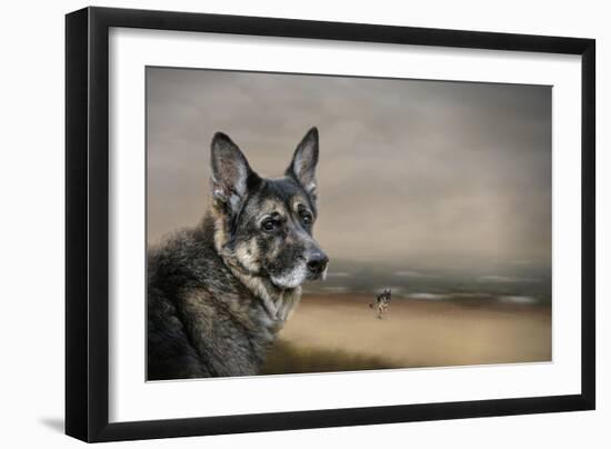 German Shepherd Dreaming of the Beach-Jai Johnson-Framed Giclee Print