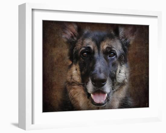 German Shepherd Face-Jai Johnson-Framed Giclee Print