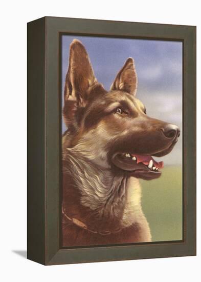 German Shepherd Head-null-Framed Stretched Canvas