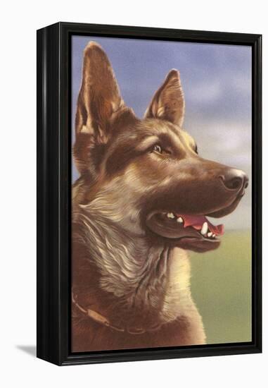 German Shepherd Head-null-Framed Stretched Canvas