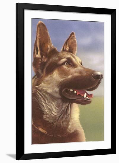 German Shepherd Head-null-Framed Art Print