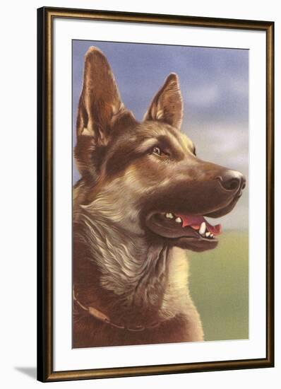 German Shepherd Head-null-Framed Art Print