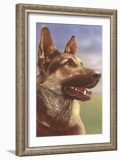 German Shepherd Head-null-Framed Art Print