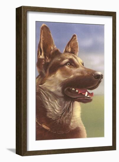 German Shepherd Head-null-Framed Art Print