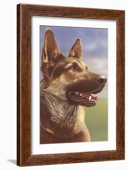 German Shepherd Head-null-Framed Art Print