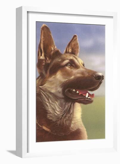 German Shepherd Head-null-Framed Art Print