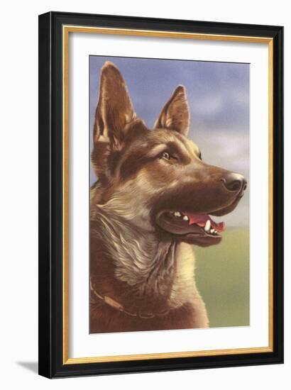 German Shepherd Head-null-Framed Art Print