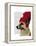 German Shepherd in Red Woolly Hat-Fab Funky-Framed Stretched Canvas