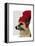 German Shepherd in Red Woolly Hat-Fab Funky-Framed Stretched Canvas