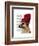 German Shepherd in Red Woolly Hat-Fab Funky-Framed Art Print