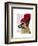 German Shepherd in Red Woolly Hat-Fab Funky-Framed Art Print