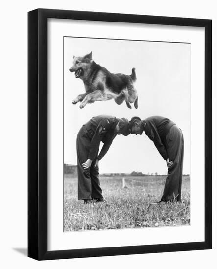 German Shepherd Jumping during Military Training-null-Framed Photographic Print