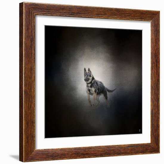 German Shepherd Puppy Feet First-Jai Johnson-Framed Giclee Print