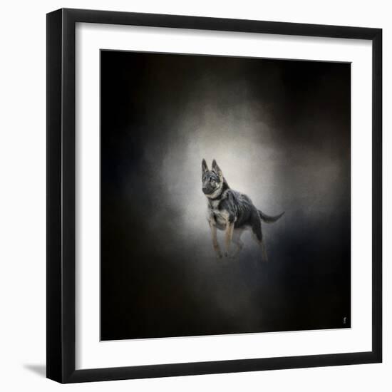 German Shepherd Puppy Feet First-Jai Johnson-Framed Giclee Print