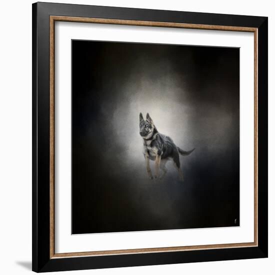 German Shepherd Puppy Feet First-Jai Johnson-Framed Giclee Print