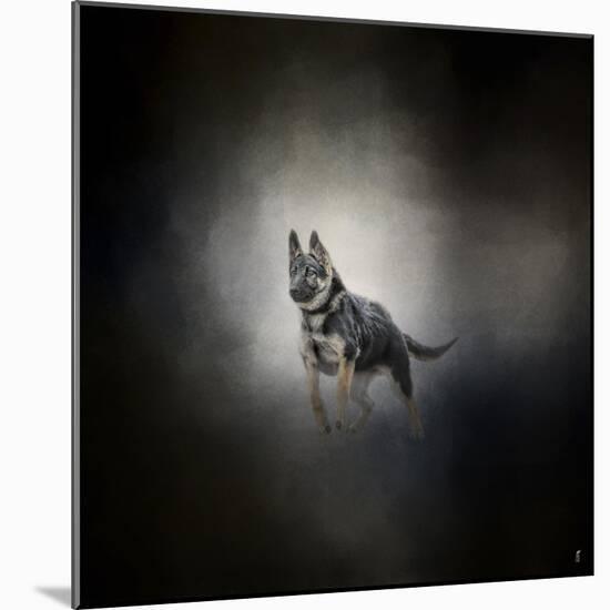 German Shepherd Puppy Feet First-Jai Johnson-Mounted Giclee Print