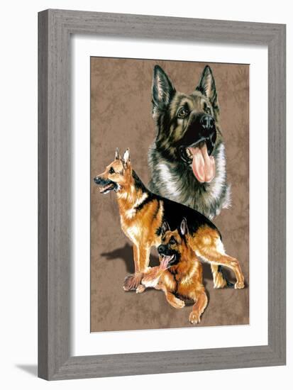 German Shepherd-Barbara Keith-Framed Giclee Print