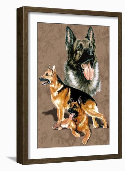 German Shepherd-Barbara Keith-Framed Giclee Print