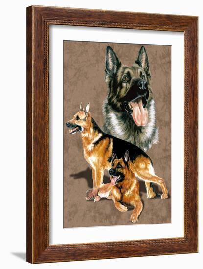 German Shepherd-Barbara Keith-Framed Giclee Print