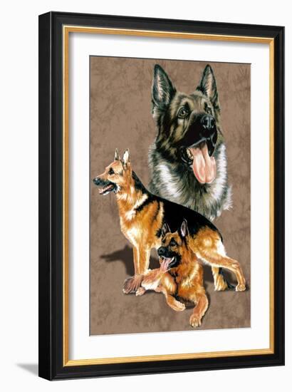 German Shepherd-Barbara Keith-Framed Giclee Print