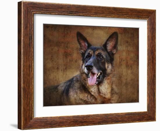 German Shepherd-Jai Johnson-Framed Giclee Print