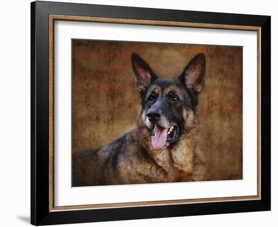 German Shepherd-Jai Johnson-Framed Giclee Print