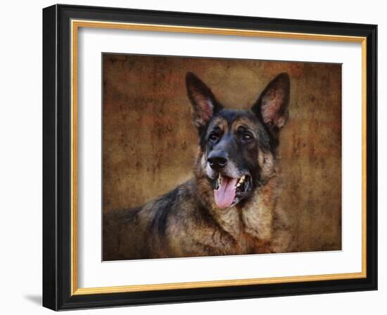 German Shepherd-Jai Johnson-Framed Giclee Print