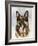 German Shepherd-Barbara Keith-Framed Giclee Print